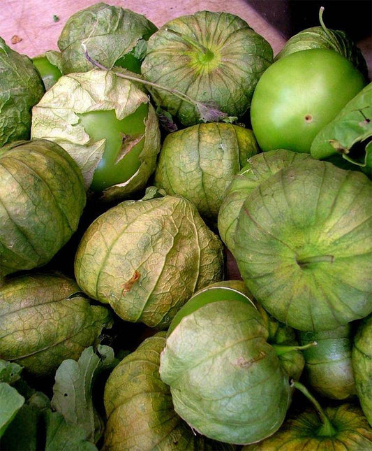 farm hand seeds Toma Verde Tomatillo