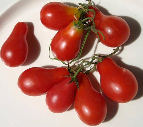 beyond organic seeds Red Pear Cluster Tomato