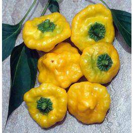 Farm.hand.seeds Jamaican Yellow Mushroom Pepper