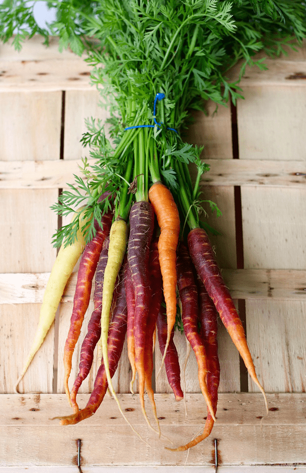 Farm.hand.seeds Pink Plume Celery 