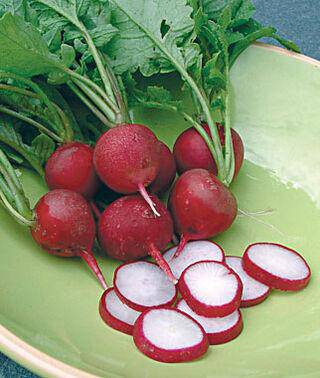 Cherry Belle Radish