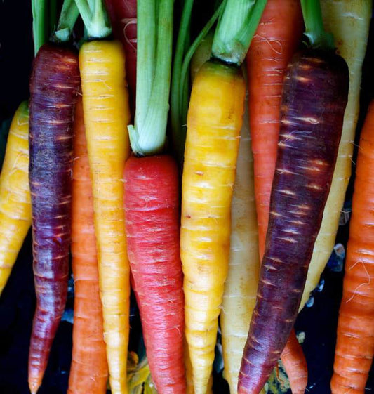 Rainbow Carrot Mix (Multi-colored)