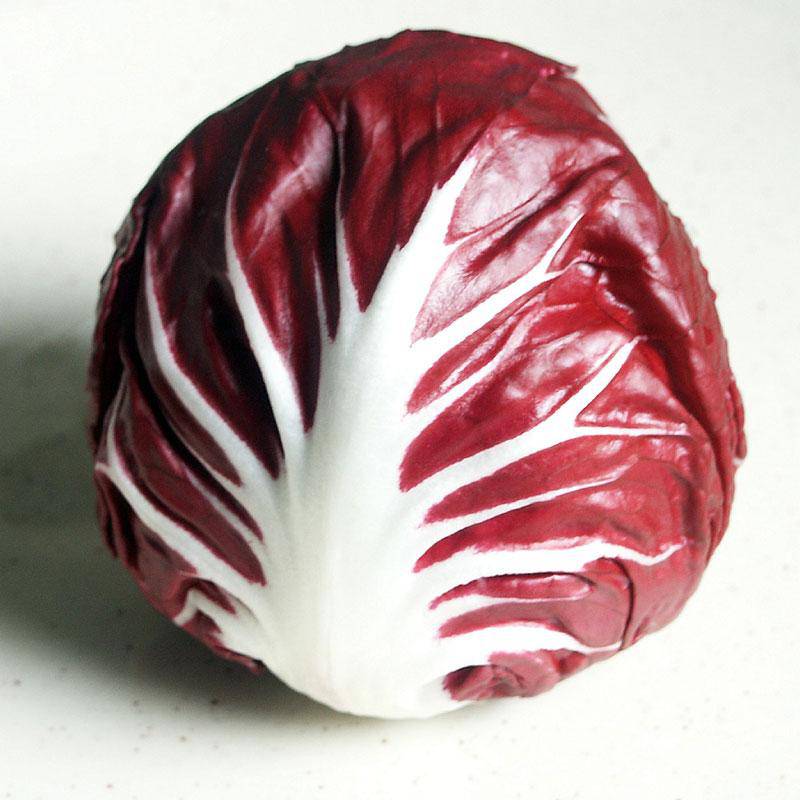 Farm.hand.seeds Rouge De Verona Radicchio